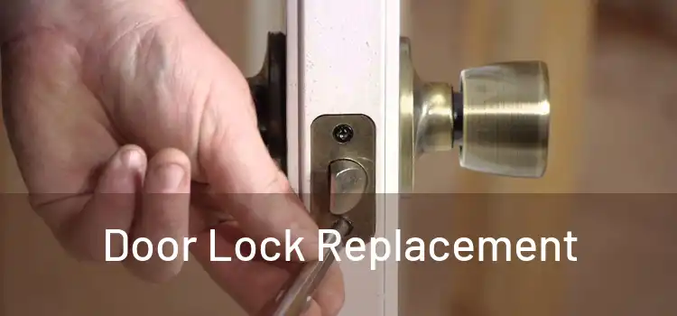  Door Lock Replacement 